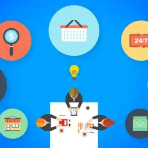 E-commerce Growth Consultation